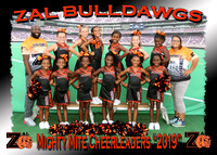 ZAL Bulldawgs Cheerleaders 2019