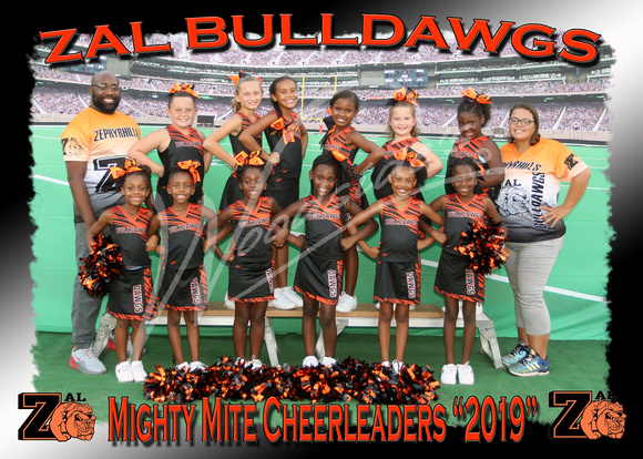 201- Mighty Mite Cheer