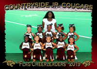 Countryside Jr. Cougars Cheerleaders 2019