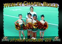 Wesley Chapel Bulls Cheerleaders 2019