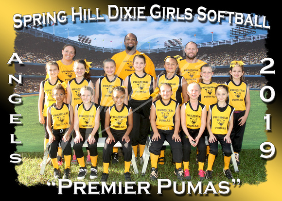 201- Premier Pumas