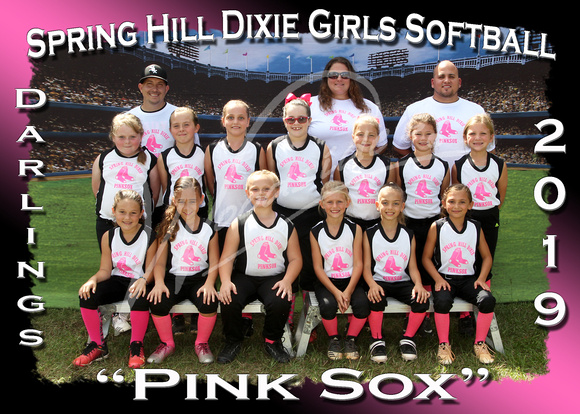 214- Pink Sox