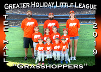 Greater Holiday Little League Fall Tee Ball 2019