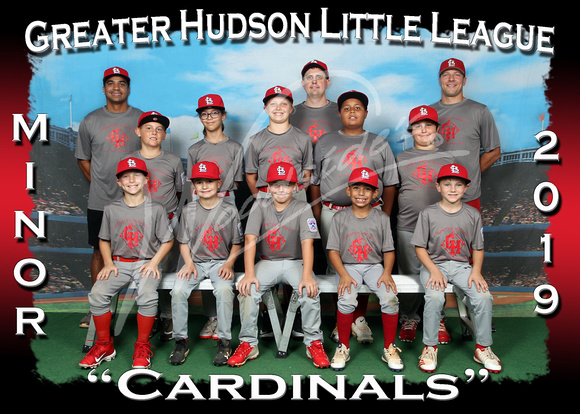102- Cardinals-Minors