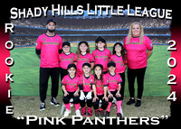 Shady Hills Little League Softball Spring 2024