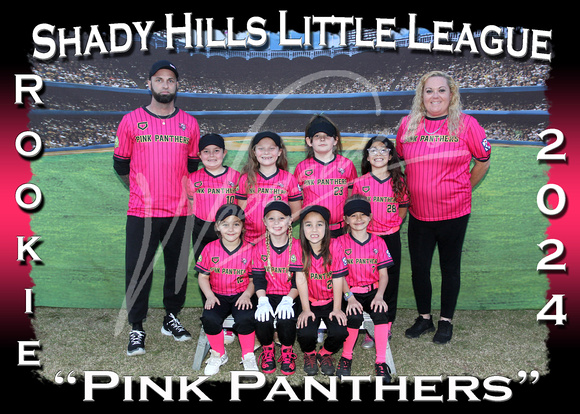 103- Rookie Pink Panthers