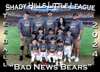 Shady Hills Little League Tee Ball Spring 2024