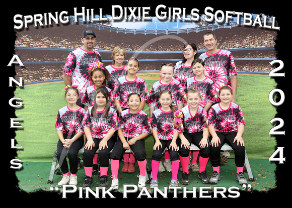 209- Angels Pink Panthers