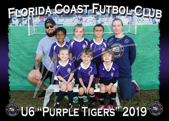 117- U6 Purple Tigers