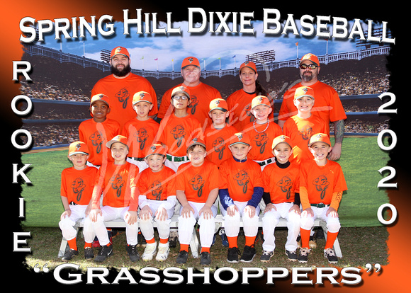 116- Rookie Grasshoppers