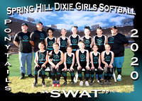 Spring Hill Dixie Girls Softball Spring 2020