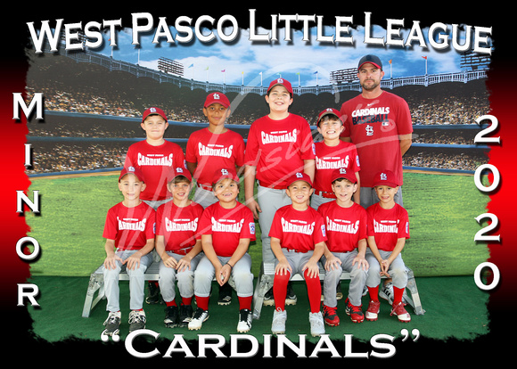 109- Minor Cardinals