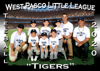 West Pasco Little League Tee Ball Fall 2020