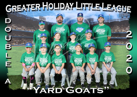 106- AA Yard Goats
