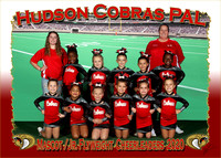 Hudson Cobras Cheerleaders 2020