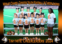 Wesley Chapel Coyotes Youth Cheerleading April 2024