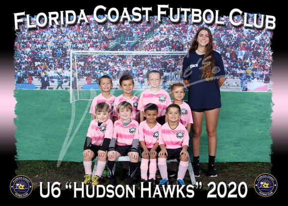 106- U6 Hudson Hawks