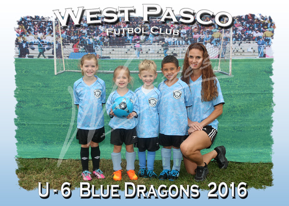 105- U - 6  Blue Dragons  2016