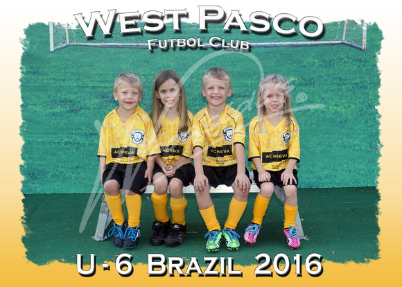 106- U - 6  Brazil  2016