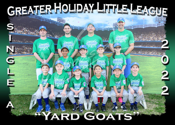 119- A Yard Goats