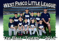 West Pasco Little League T-Ball Spring 2014