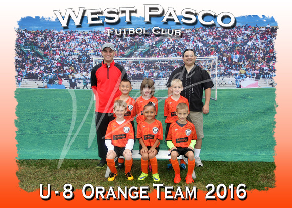 103- U - 8  Orange  2016