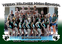 Weekie Wachee Swim