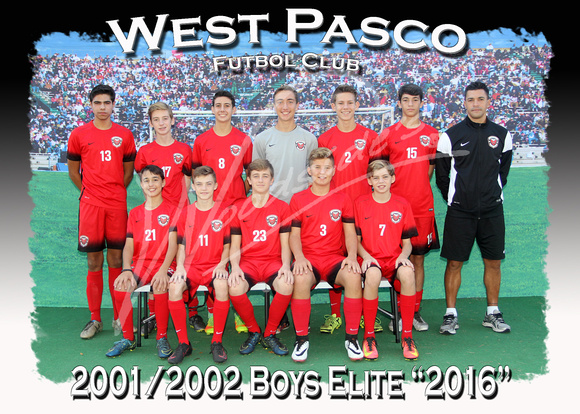 108- 2001 2002 Boys Elite