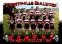 Zephyrhills Bulldogs PAL Cheerleading 2014