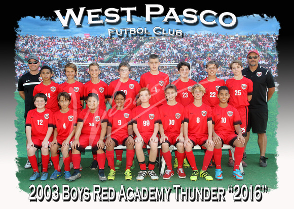 120- 2003 Boys Red Academy Thunder