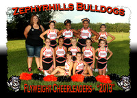 Zephyrhills Bulldogs Cheerleaders 2013