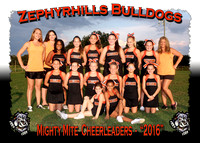 Zephyrhills Bulldogs Cheerleaders 2016