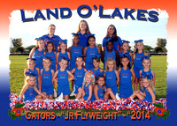 Land O' Lake Gators PAL Cheerleading 2014