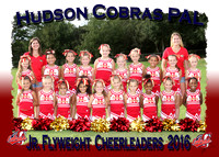 Hudson Cobras Cheerleaders 2016