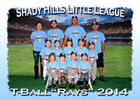Shady Hills LL T-Ball Fall 2014