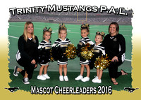 Trinity Mustangs Cheerleaders 2016