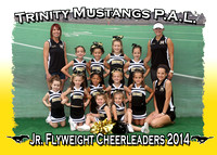Trinity Mustangs Cheerleaders 2014
