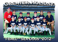 Greater Holiday LL Fall T-Ball 2012