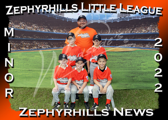 204- Minor Zephyrhills News