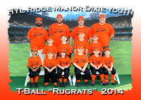 HYL Ridge Manor Dixie Youth Spring T-Ball 2014