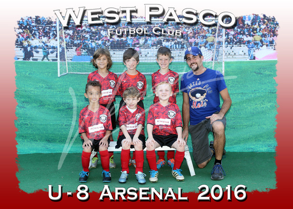 119- U - 8  Arsenal  2016