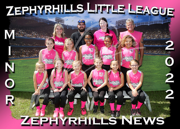 306- SB Minor Zephyrhills News