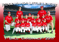 Ridge Manor Little League T-Ball 2011
