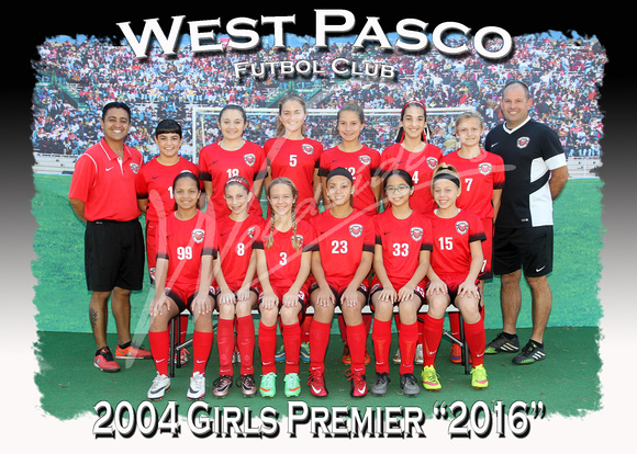 118- 2004 Girls Premier