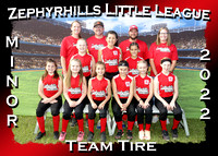 Zephyrhills Little League Softball Spring 2022