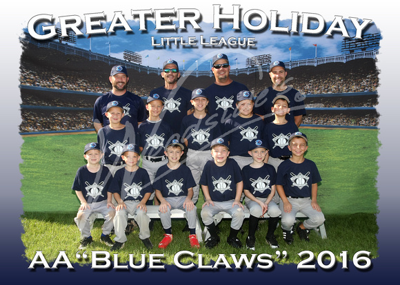 209- AA Blue Claws