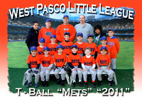 West Pasco Little League T-BALL 2011
