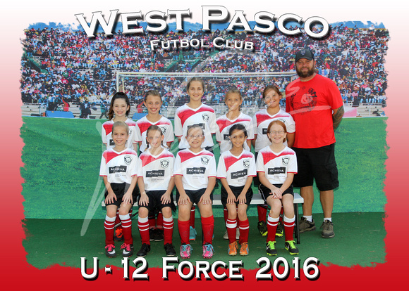119- U - 12  Force  2016