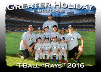 Greater Holiday LL T-Ball Fall 2016