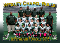 Wesley Chapel Bulls Football 2016